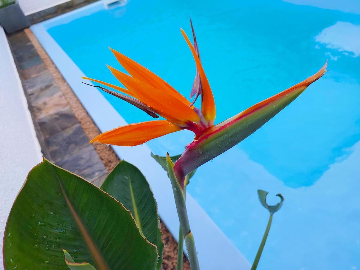 Flic-en-Flacq Golden Square Villa & Private Pool מראה חיצוני תמונה